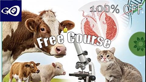 Free Coupon Animal Reproduction: Anatomy, Physiology, and Biotechnology [100% OFF]
