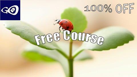 Free Coupon Bootstrapping, Business Without Money, Investments Getting [100% OFF]
