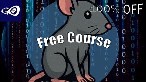 Free Coupon CAPIE - Certified API Hacking Expert Course Content [100% OFF]