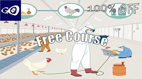 Free Coupon Combating Bacterial Diseases in Poultry Farming: [100% OFF]