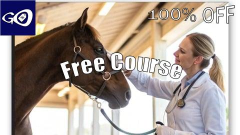 Free Coupon Equine Medicine Addressing Common /Complex Problems [100% OFF]