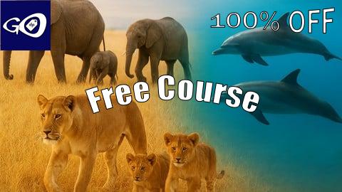 Free Coupon Etholog in actiony: How Animals Think & Survive in the Wild [100% OFF]