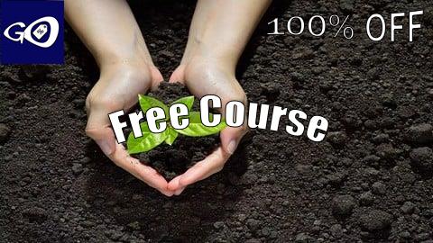Free Coupon ISO 14001 Implementation Step by Step With Templates [100% OFF]