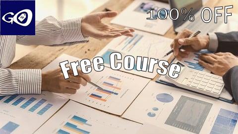 Free Coupon Marketing Analytics for Beginners [100% OFF]