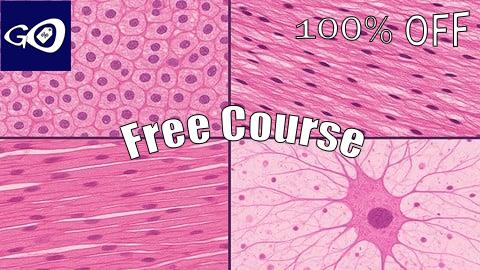 Free Coupon Mastering Histology: Microscopic Anatomy Made easy [100% OFF]