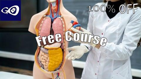 Free Coupon Medical Coding Part 2: CPT Coding & Medical Billing Basics [100% OFF]