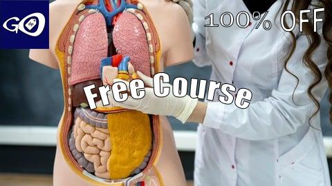 Free Coupon Medical Terminology for Medical Coding, Billing & Healthcare [100% OFF]