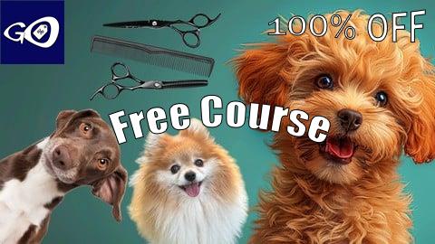 Free Coupon Pet Business with Dog Grooming  for Aspiring Petpreneurs [100% OFF]