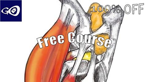 Free Coupon Región femoro tibio rotuliana, anatomia, biomecanica y casos [100% OFF]