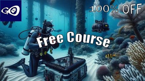 Free Coupon Subsea Risk-Based Inspection for Oil and Gas Professionals [100% OFF]