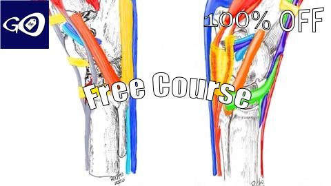 Free Coupon Tarso equino, anatomia, biomecánica y casos clínicos [100% OFF]