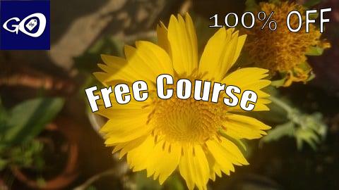Free Coupon Unlock the Secrets of Polynomials: Command On Algebra inside [100% OFF]