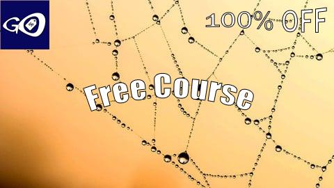 Free Coupon WEB3 Token Gating. Create an NFT gated website from scratch [100% OFF]